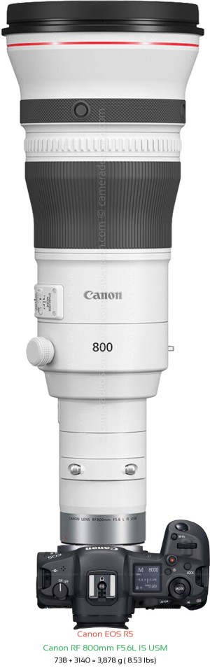 Canon R5 with Canon RF 800mm F5.6L Lens Size