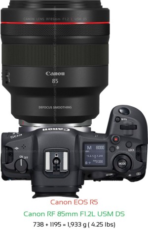 Canon R5 with Canon RF 85mm F1.2L USM DS Lens Size