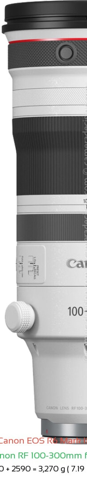 Canon R6 III with Canon RF 100-300mm f2.8 Lens Size