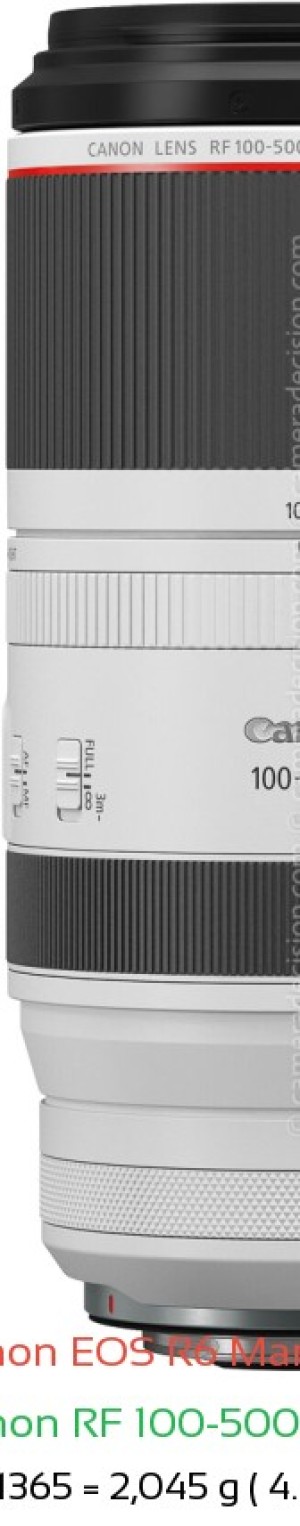 Canon R6 III with Canon RF 100-500mm Lens Size