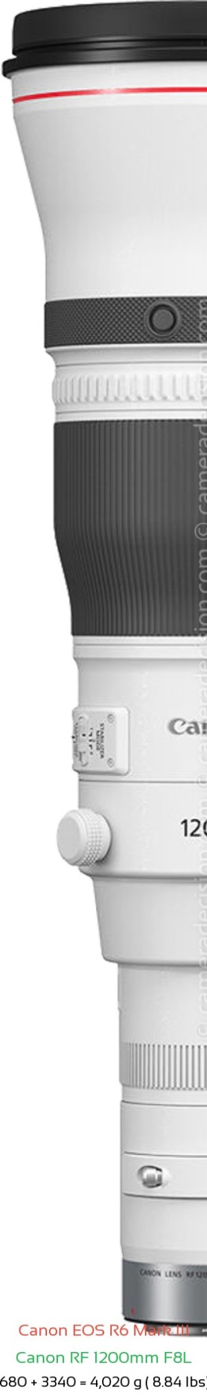 Canon R6 III with Canon RF 1200mm F8L Lens Size