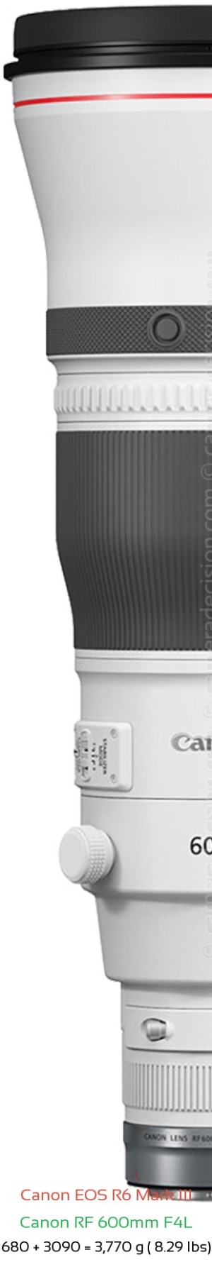 Canon R6 III with Canon RF 600mm F4L Lens Size