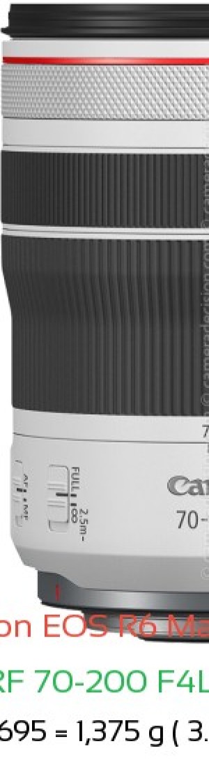 Canon R6 III with Canon RF 70-200 F4L IS USM Lens Size