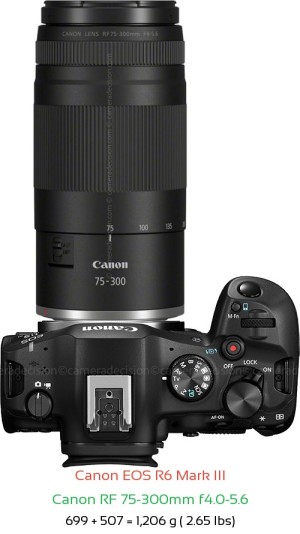 Canon R6 III with Canon RF 75-300mm f4.0-5.6 Lens Size
