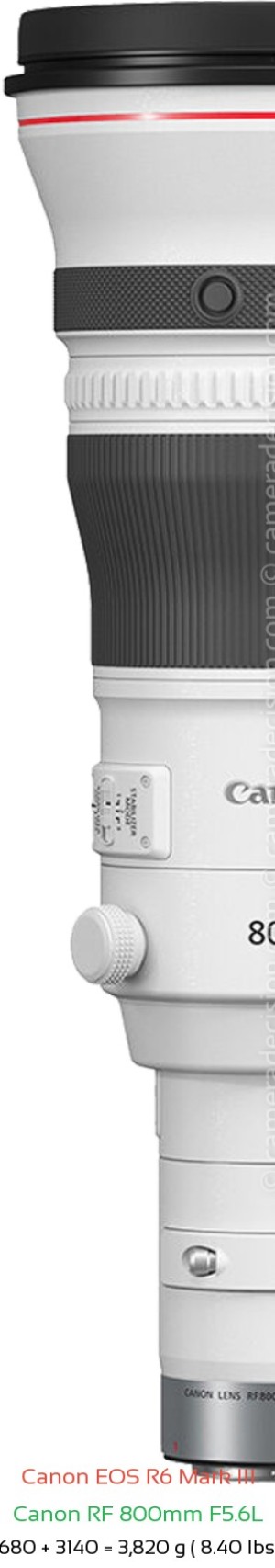 Canon R6 III with Canon RF 800mm F5.6L Lens Size