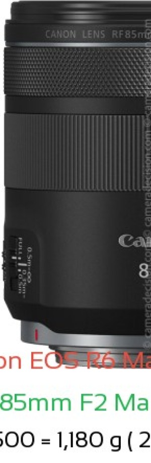 Canon R6 III with Canon RF 85mm F2 Macro IS STM Lens Size