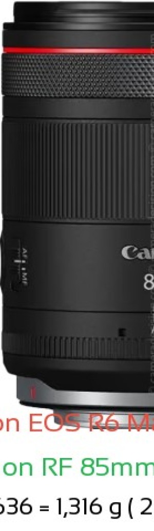 Canon R6 III with Canon RF 85mm f1.4 Lens Size
