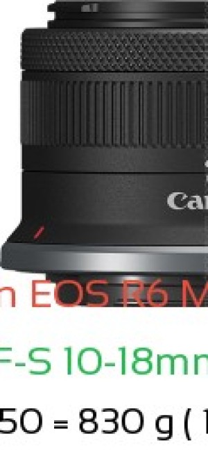 Canon R6 III with Canon RF-S 10-18mm F4.5-6.3 Lens Size