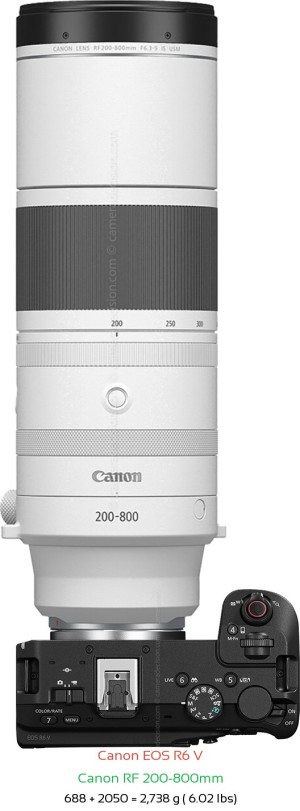 Canon R6 V with Canon RF 200-800mm Lens Size