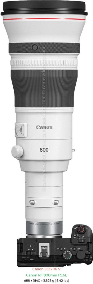 Canon R6 V with Canon RF 800mm F5.6L Lens Size