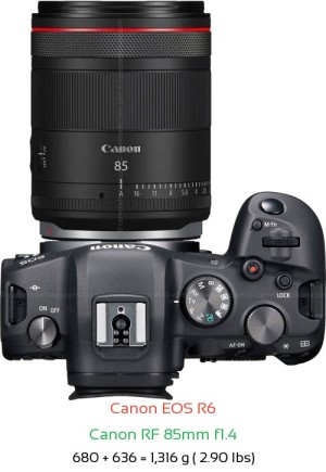Canon R6 with Canon RF 85mm f1.4 Lens Size