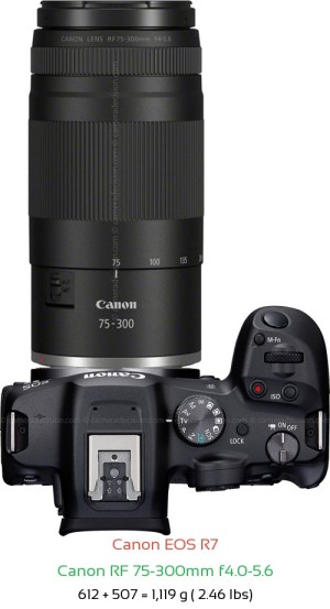 Canon R7 with Canon RF 75-300mm f4.0-5.6 Lens Size