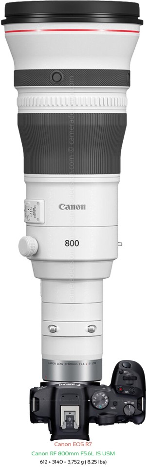 Canon R7 with Canon RF 800mm F5.6L Lens Size