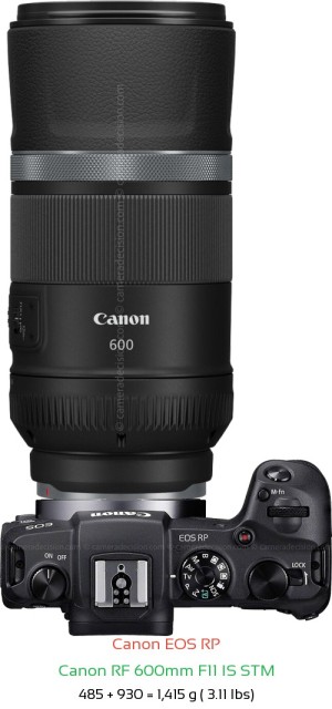 Canon RP with Canon RF 600mm F11 Lens Size