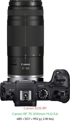 Canon RP with Canon RF 75-300mm f4.0-5.6 Lens Size