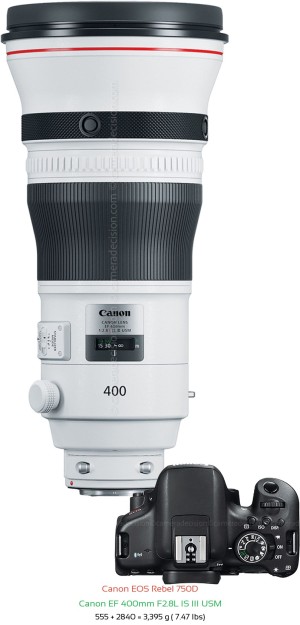 Canon 750D with Canon EF 400mm F2.8L IS III USM Lens Size
