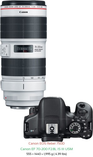 Canon 750D with Canon EF 70-200 F2.8L IS III USM Lens Size
