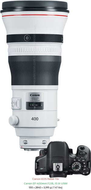 Canon T6i with Canon EF 400mm F2.8L IS III USM Lens Size