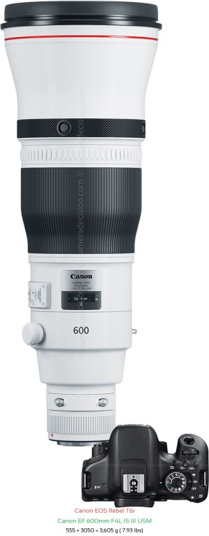 Canon T6i with Canon EF 600mm F4L IS III USM Lens Size
