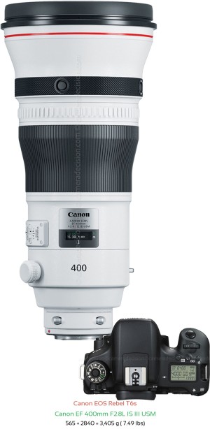 Canon T6s with Canon EF 400mm F2.8L IS III USM Lens Size