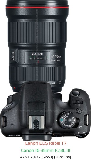 Canon T7 with Canon 16-35mm F2.8L III Lens Size