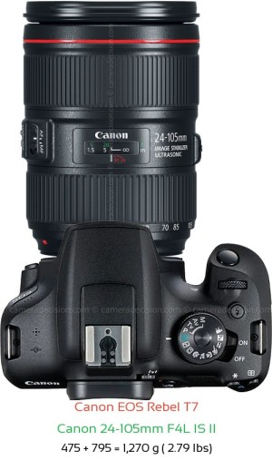 Canon T7 with Canon 24-105mm F4L IS II Lens Size
