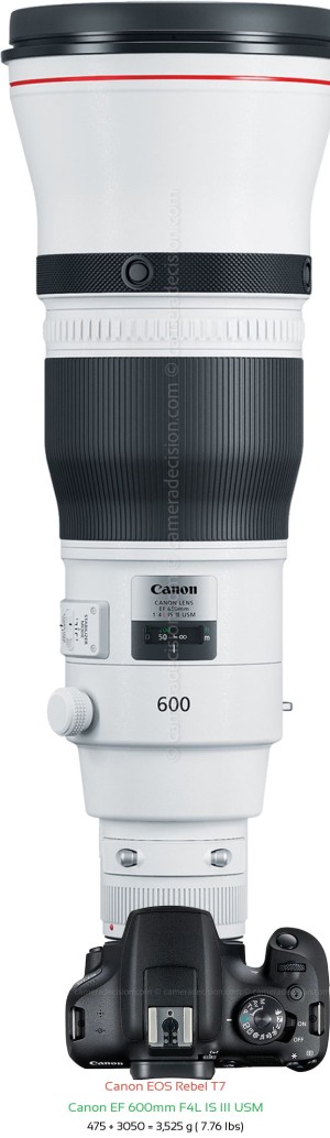 Canon T7 with Canon EF 600mm F4L IS III USM Lens Size