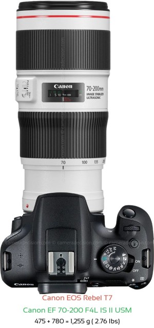 Canon T7 with Canon EF 70-200 F4L IS II USM Lens Size