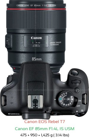 Canon T7 with Canon EF 85mm F1.4L IS USM Lens Size