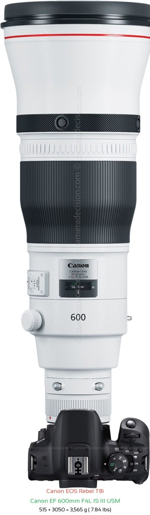 Canon T8i with Canon EF 600mm F4L IS III USM Lens Size
