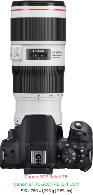 Canon T8i with Canon EF 70-200 F4L IS II USM Lens Size