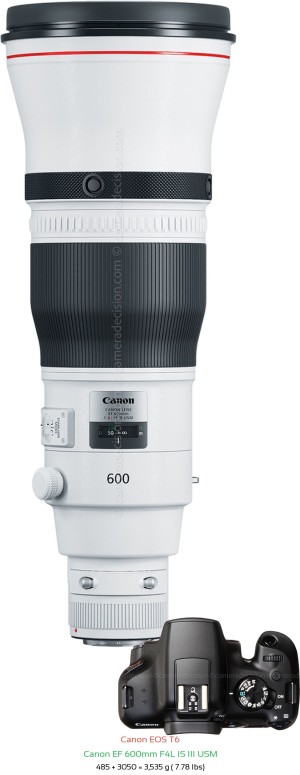 Canon T6 with Canon EF 600mm F4L IS III USM Lens Size