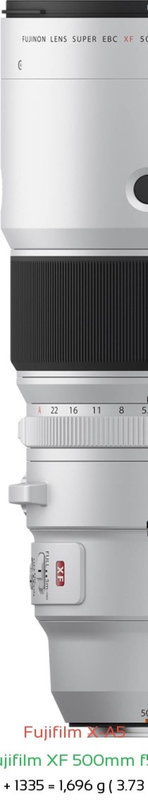 Fujifilm X-A5 with Fujifilm XF 500mm f5.6 Lens Size