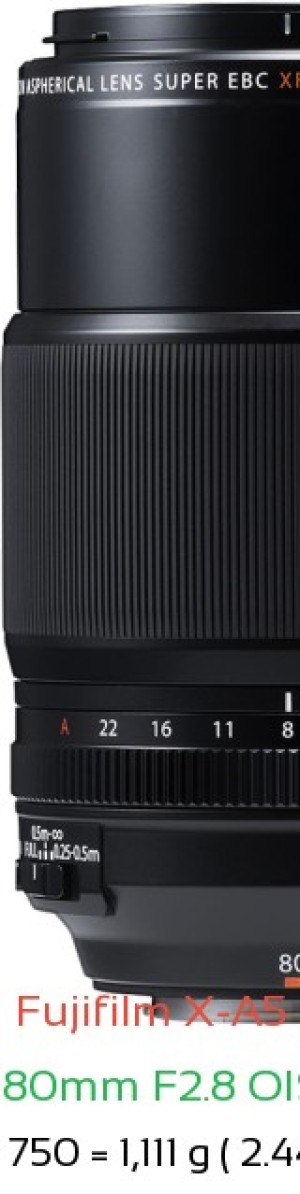 Fujifilm X-A5 with Fujifilm XF 80mm F2.8 OIS WR Macro Lens Size