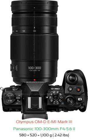 Olympus E-M1 III with Panasonic 100-300mm F4-5.6 II Lens Size