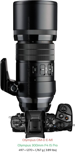Olympus E-M1 with Olympus 300mm F4 IS Pro Lens Size