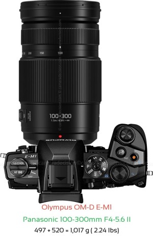 Olympus E-M1 with Panasonic 100-300mm F4-5.6 II Lens Size