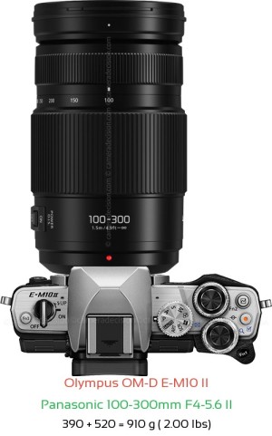 Olympus E-M10 II with Panasonic 100-300mm F4-5.6 II Lens Size