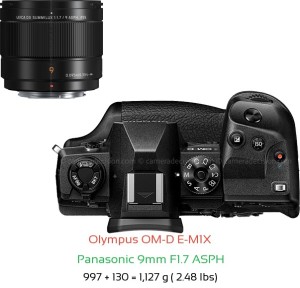 Olympus E-M1X with Panasonic 9mm F1.7 ASPH Lens Size