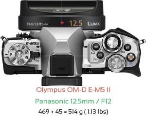 Olympus E-M5 II with Panasonic 12.5mm / F12 Lens Size