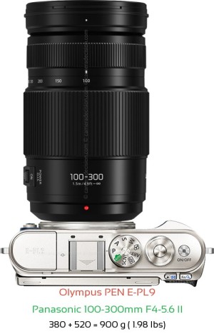 Olympus E-PL9 with Panasonic 100-300mm F4-5.6 II Lens Size