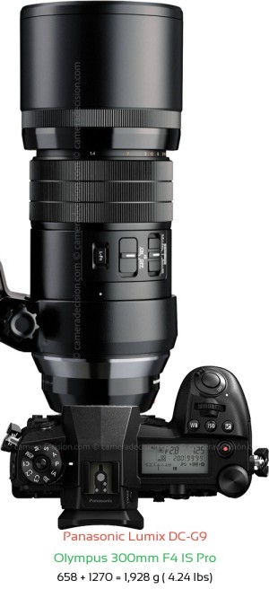 Panasonic G9 with Olympus 300mm F4 IS Pro Lens Size