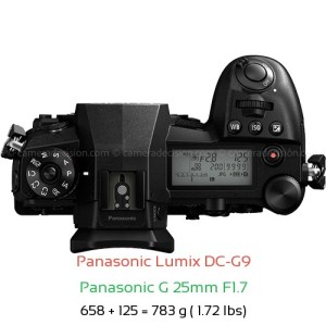 Panasonic G9 with Panasonic G 25mm F1.7 Lens Size