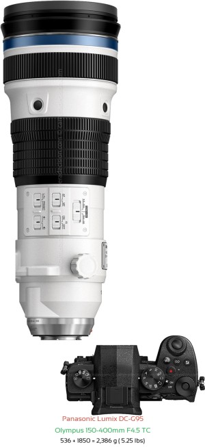 Panasonic G95 with Olympus 150-400mm F4.5 TC Lens Size