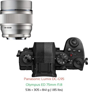 Panasonic G95 with Olympus ED 75mm f1.8 Lens Size