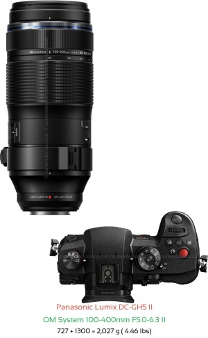 Panasonic GH5 II with OM System 100-400mm F5.0-6.3 II Lens Size