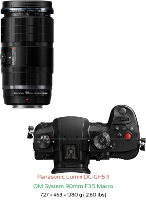 Panasonic GH5 II with OM System 90mm F3.5 Macro Lens Size