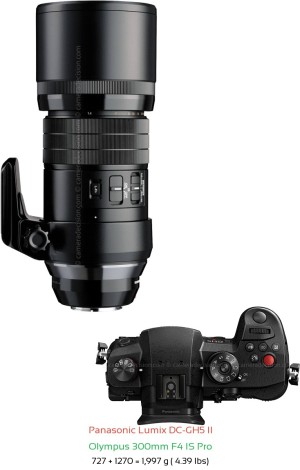Panasonic GH5 II with Olympus 300mm F4 IS Pro Lens Size