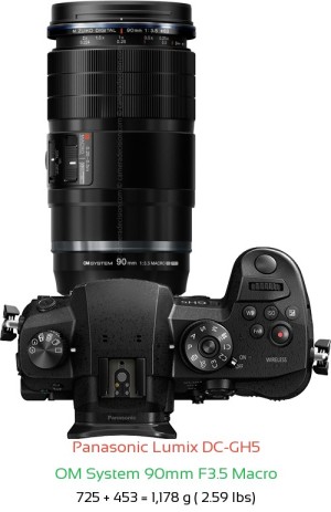 Panasonic GH5 with OM System 90mm F3.5 Macro Lens Size