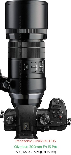 Panasonic GH5 with Olympus 300mm F4 IS Pro Lens Size